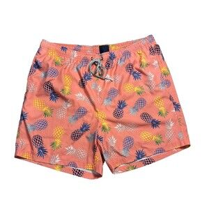 Rainforest Pineapple Print Brief Lined Swim Trunks Water Shorts Men's Size XL